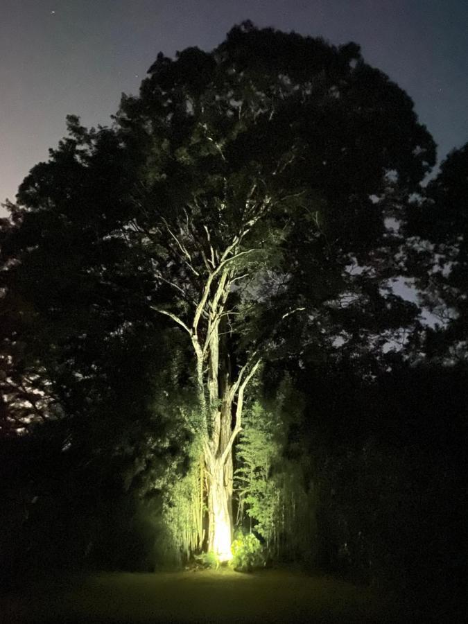 Recanto Da Floresta - Casa De Campo Em Secretario Petrópolis المظهر الخارجي الصورة